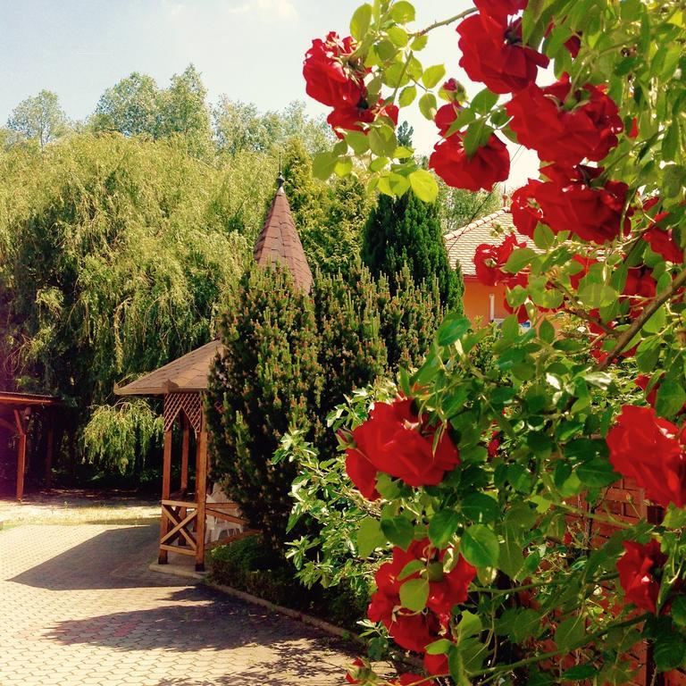 Villa Valeria Хевиз Экстерьер фото